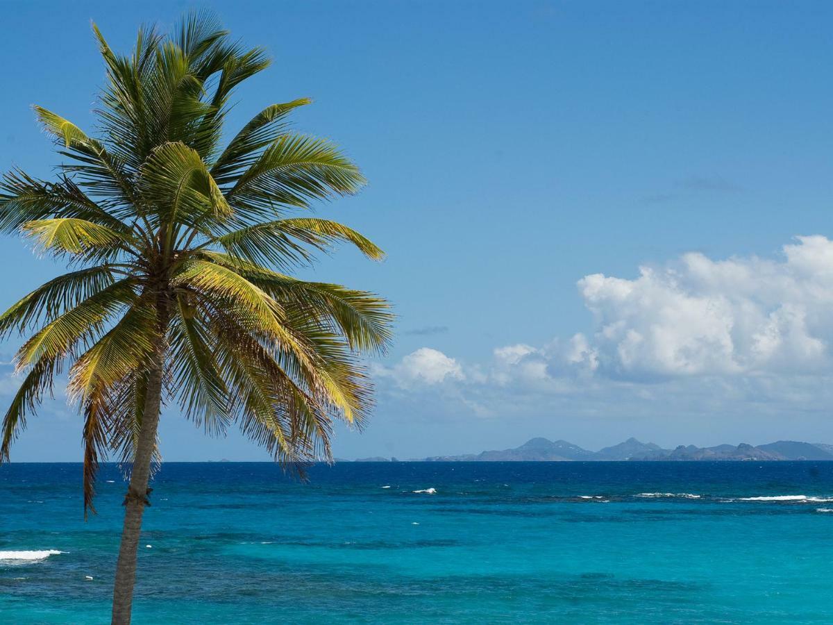 Coral Beach Club Villas & Marina Sint Maarten المظهر الخارجي الصورة